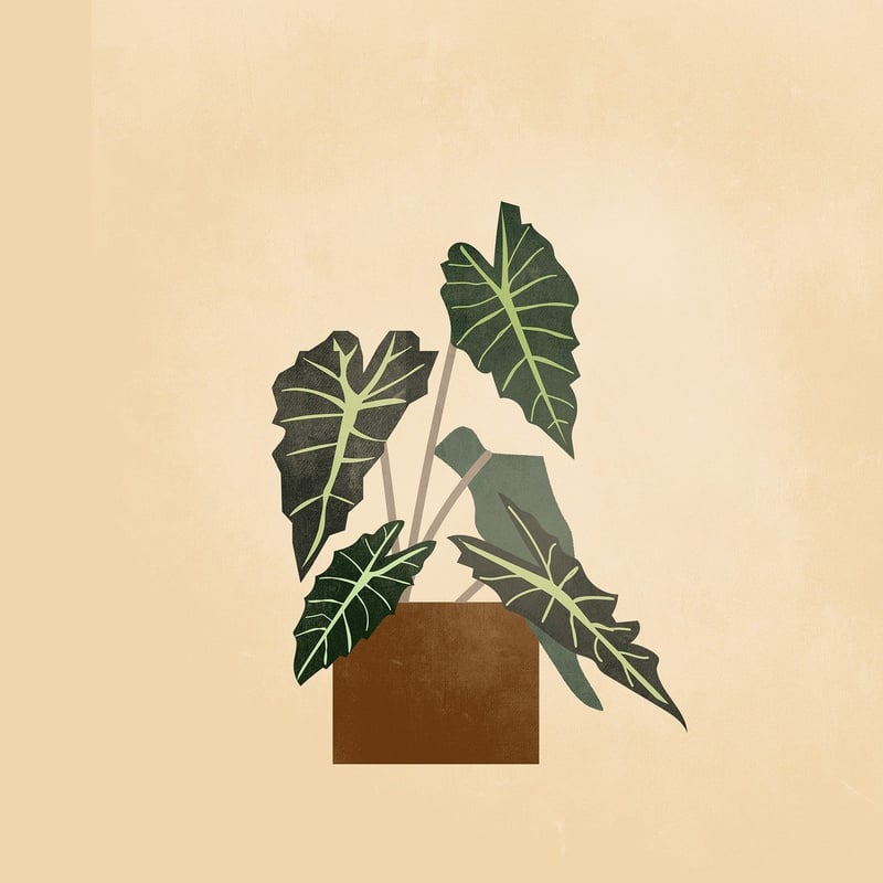 Natural Bohemian Elements